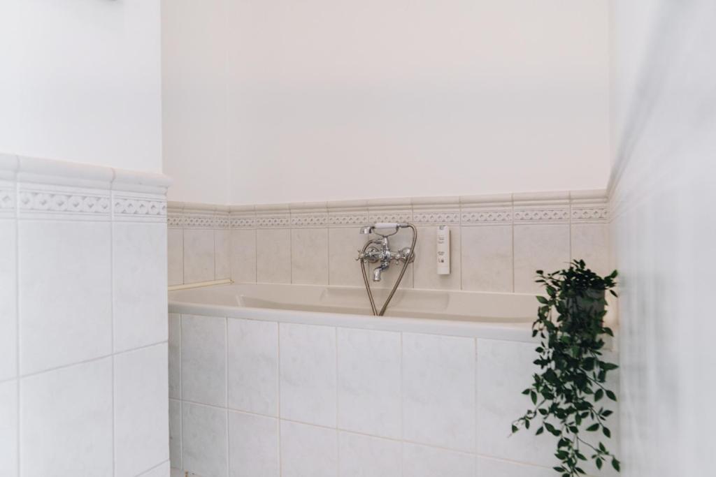 Dream Stay - Art Gallery Family Apartment With 2 Bathrooms Tallinn Kültér fotó